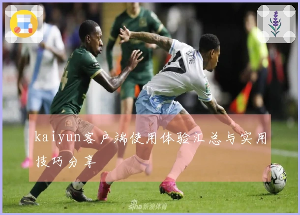 kaiyun客户端使用体验汇总与实用技巧分享