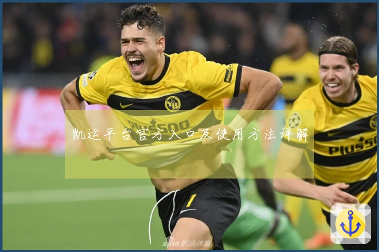 凯运平台官方入口及使用方法详解